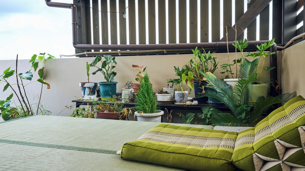 Photo of Outdoor in Sumiyoshicho