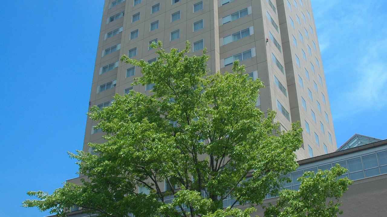 Photo of Outdoor in Tomakomai