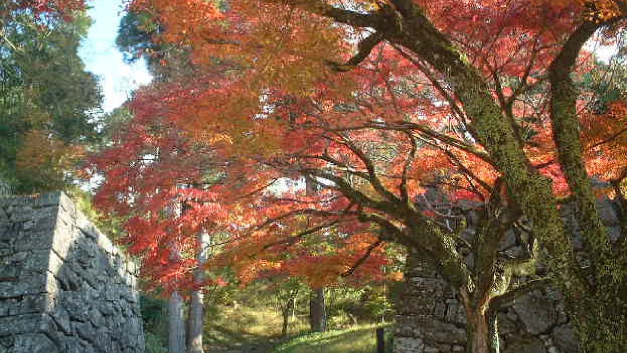 Photo of Outdoor in Yuyama Onsen