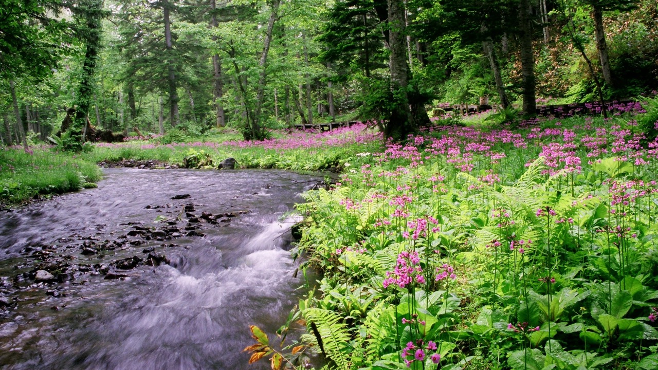 Photo of Outdoor in Tsubetsu