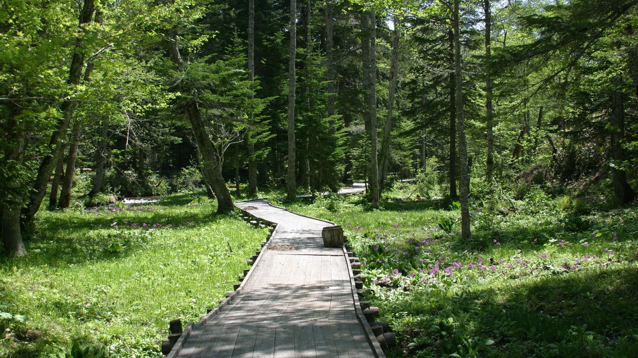 Photo of Outdoor in Tsubetsu