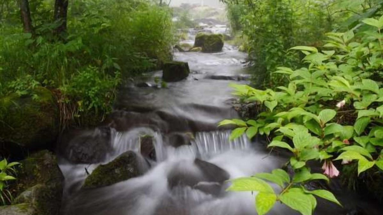 Photo of Outdoor in Tateshina