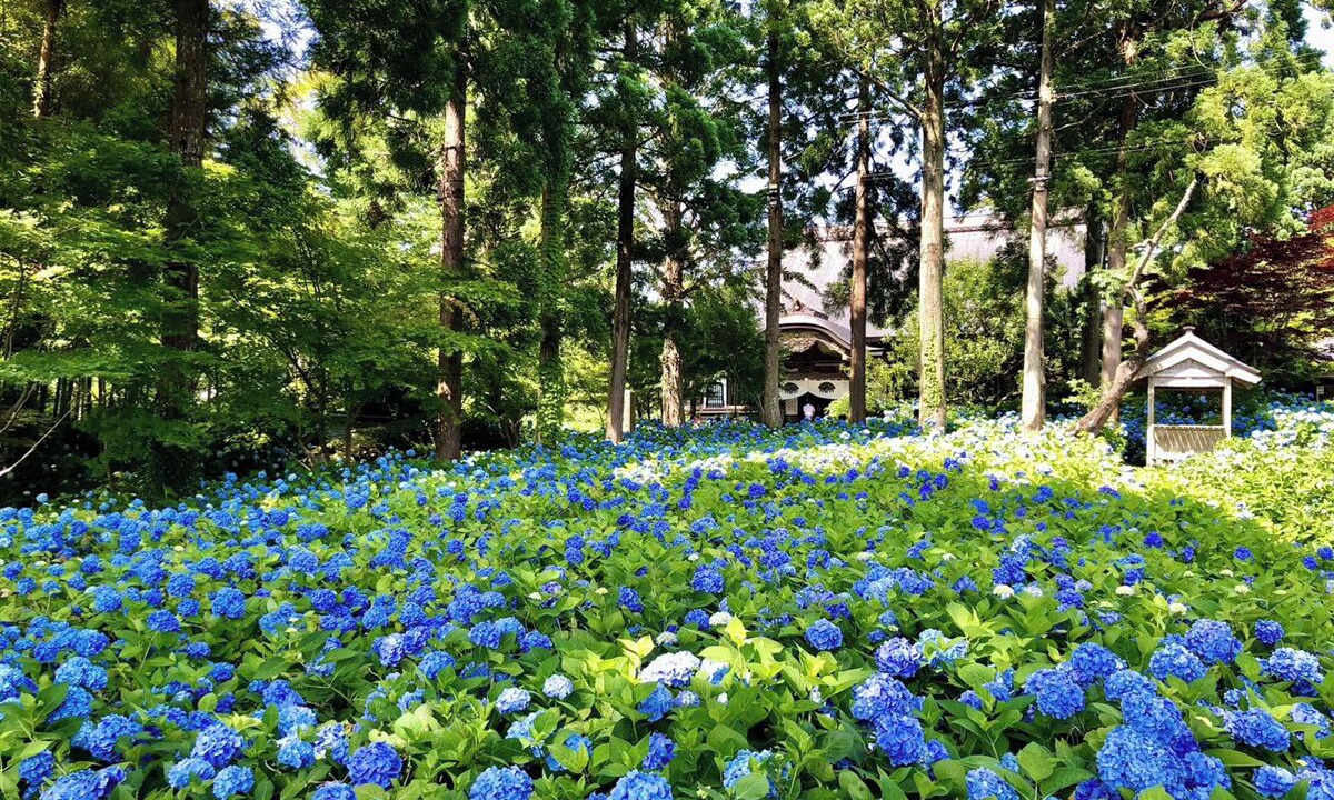 Photo of Outdoor in Toga Onsen