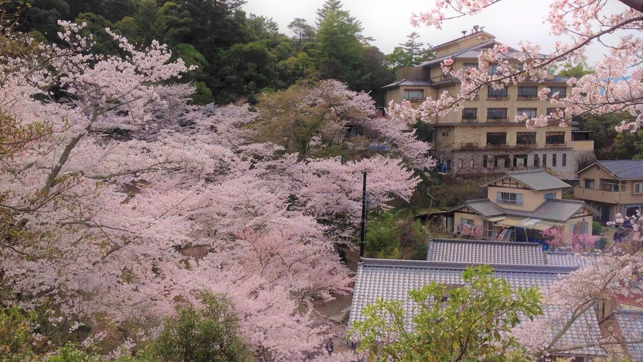 Photo of Outdoor in Itsukushima