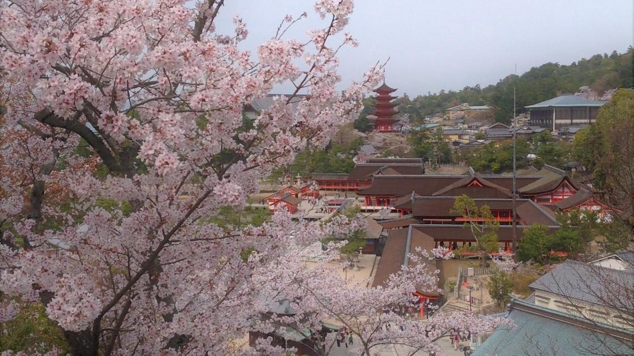 Photo of Outdoor in Itsukushima
