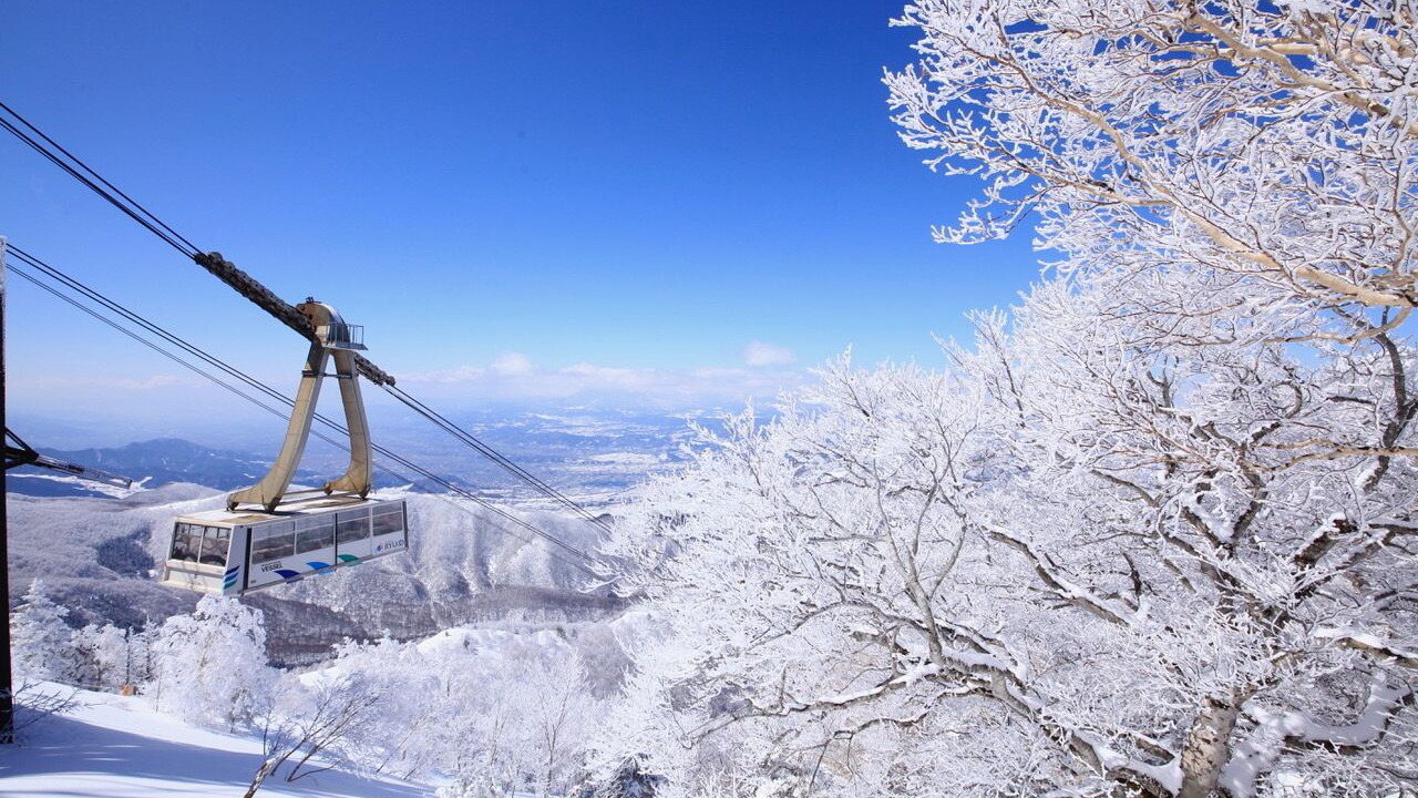 Photo of Others in Yamanouchi