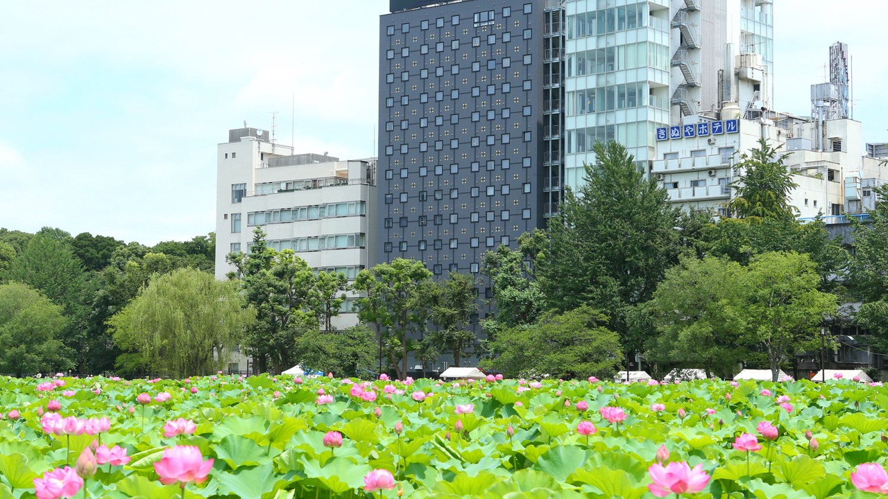Photo of Outdoor in Ueno