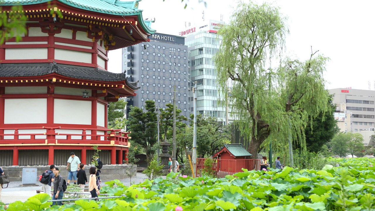 Photo of Others in Ueno