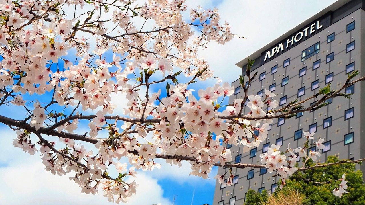 Photo of Outdoor in Ueno