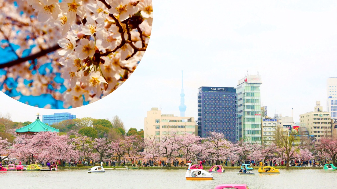 Photo of Outdoor in Ueno