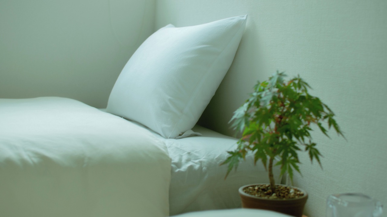 Photo of Bedroom in Tatsugaoka