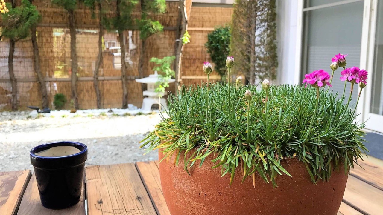 Photo of Outdoor in Tatsugaoka