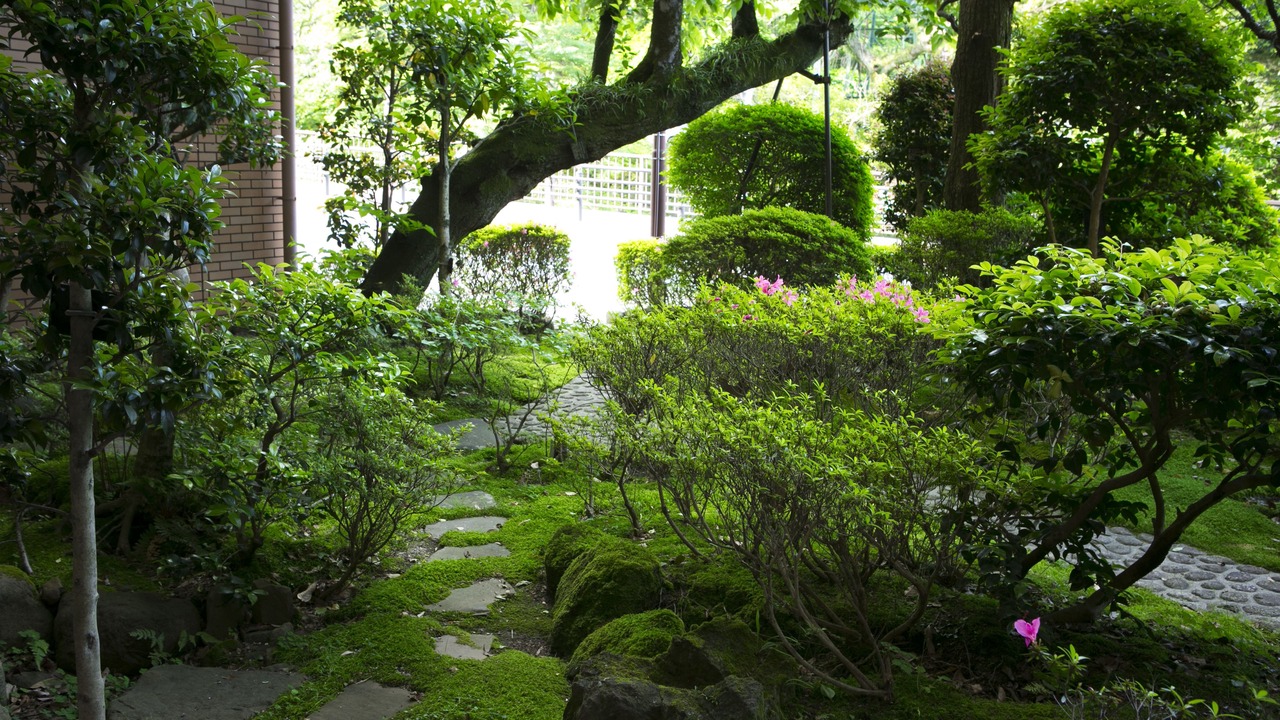 Photo of Outdoor in Yugawara