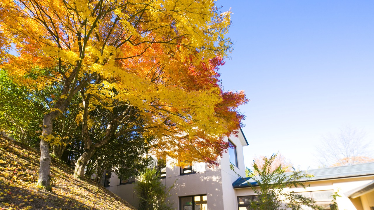 Photo of Outdoor in Agatsumakyo Onsen