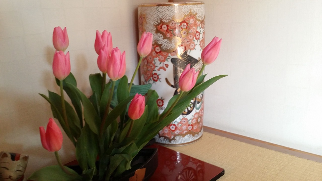 Photo of Others in Miyazaki