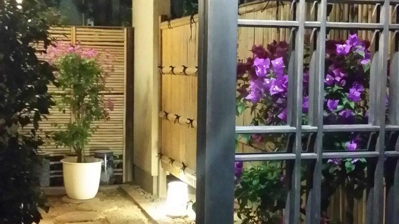 Photo of Outdoor in Miyazaki