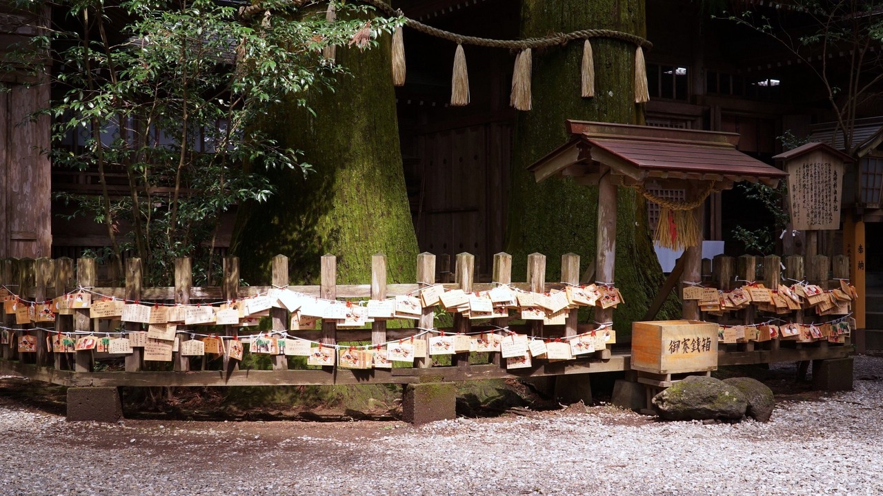 Photo of Others in Nobeoka