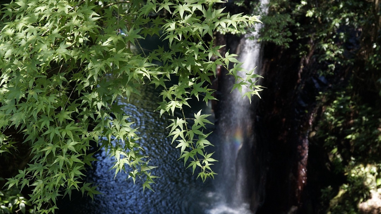 Photo of Others in Nobeoka