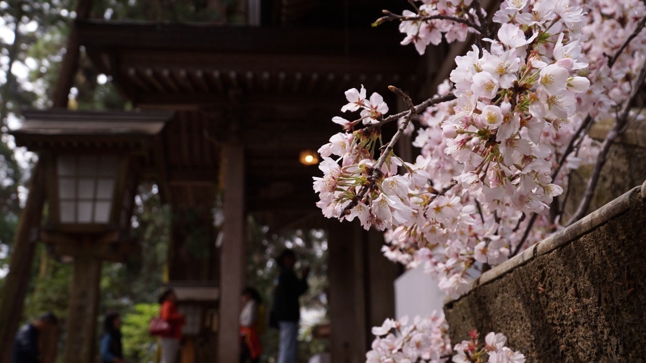 Photo of Others in Nobeoka