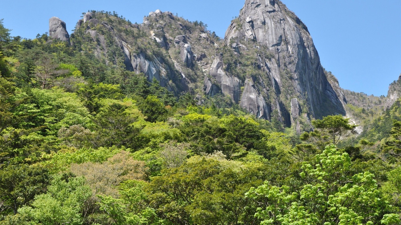 Photo of Others in Nobeoka