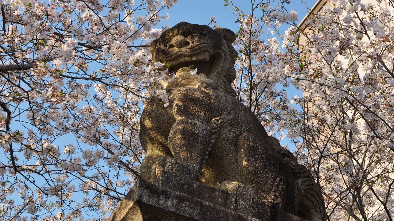 Photo of Others in Nobeoka