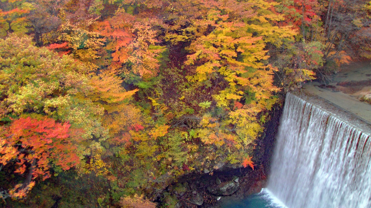 Photo of Outdoor in Hachimantai