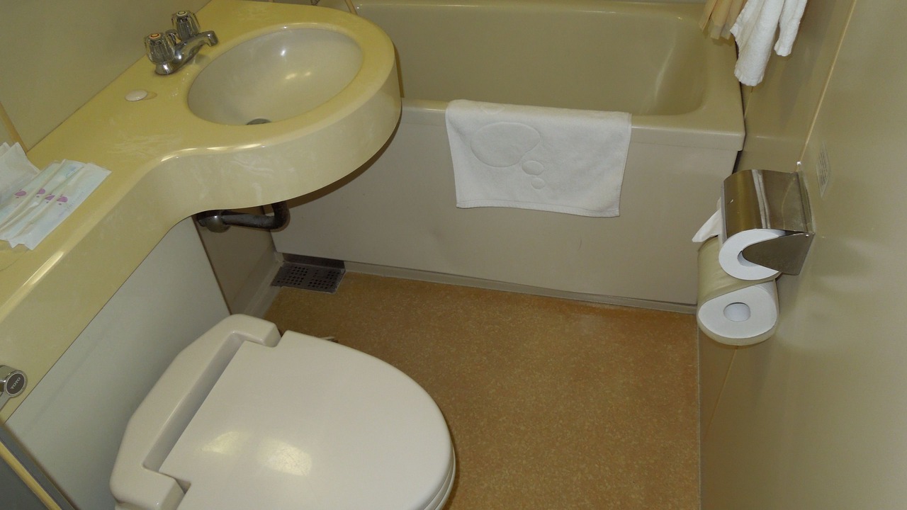 Photo of Bathroom in Toyako
