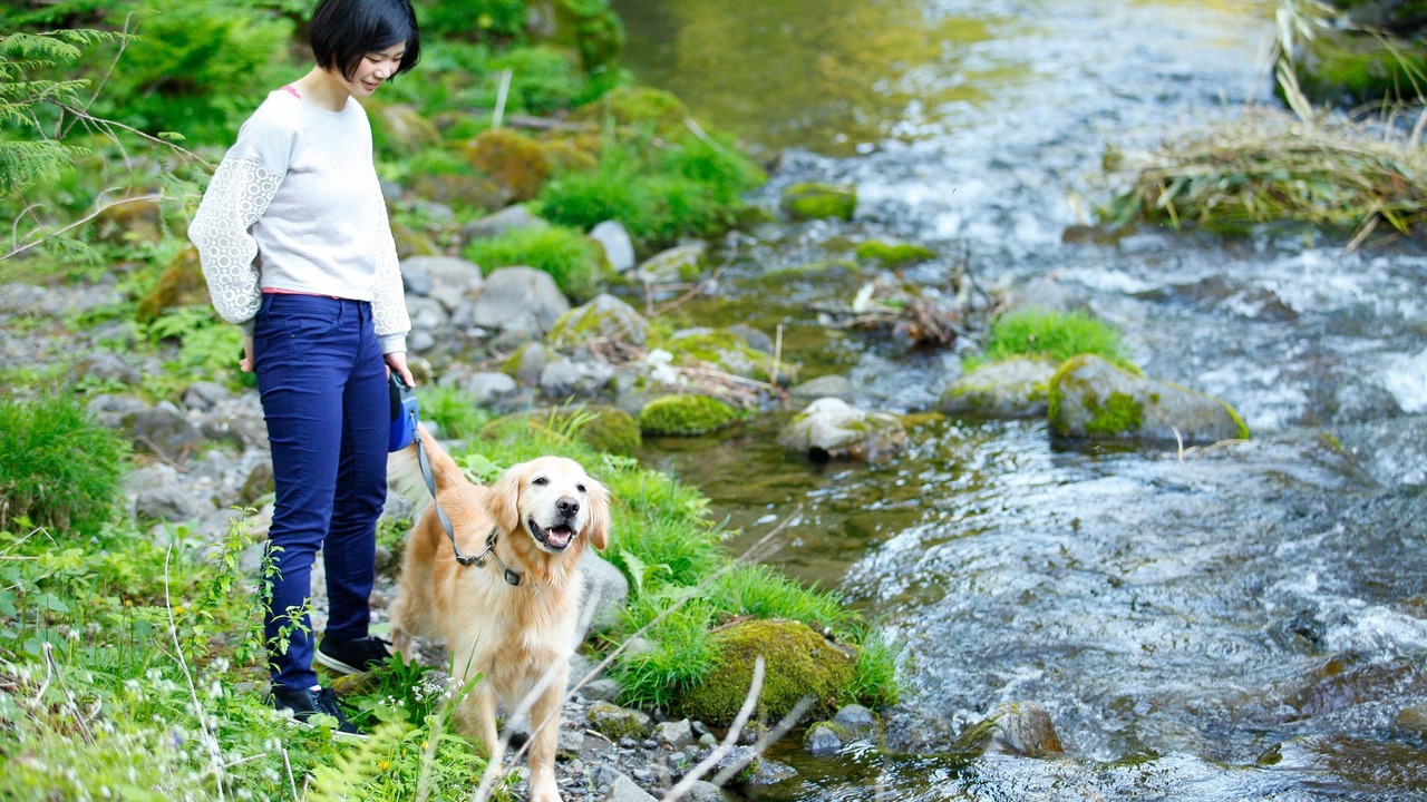 Photo of Outdoor in Takayama