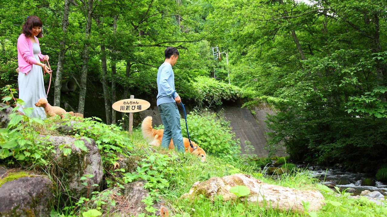 Photo of Outdoor in Takayama