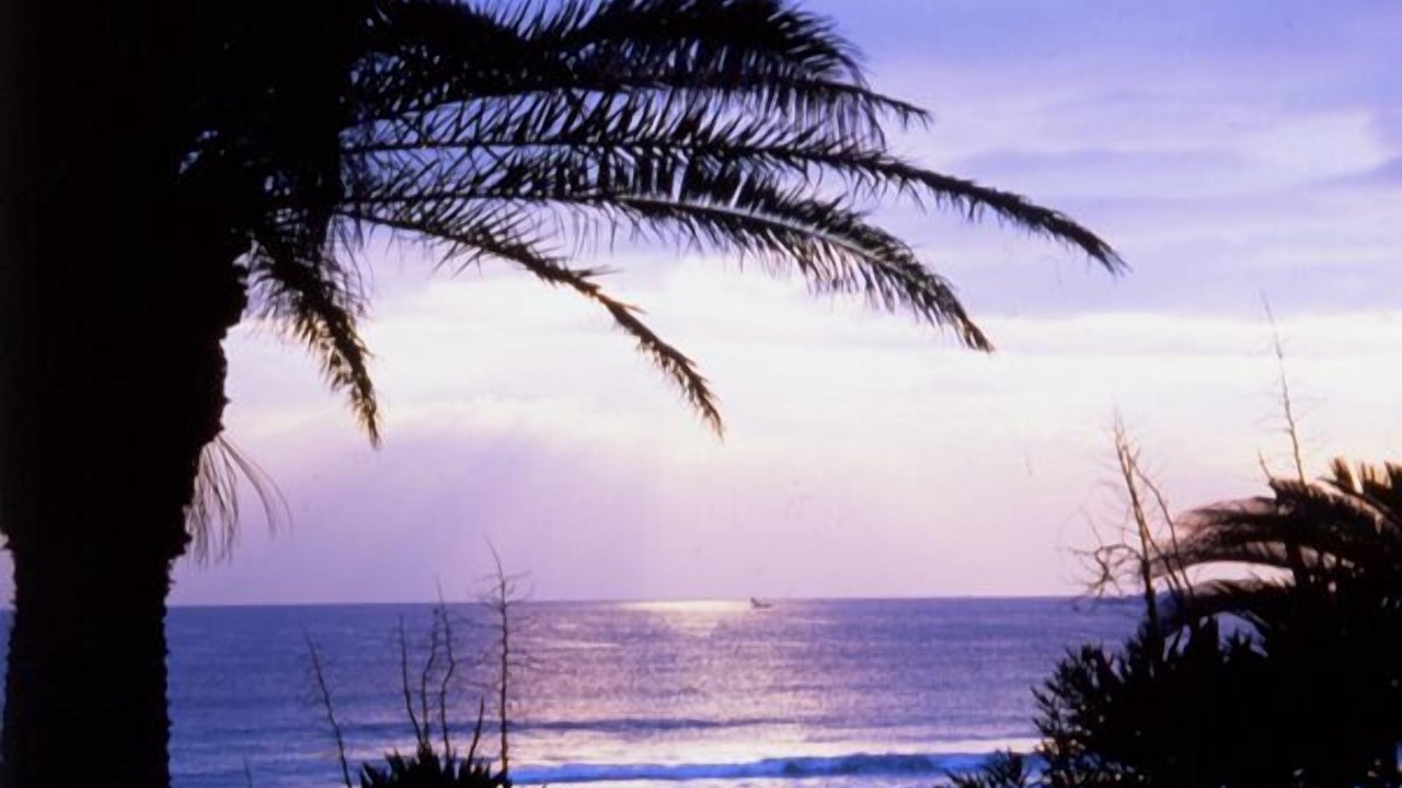 Photo of Others in Shimoda