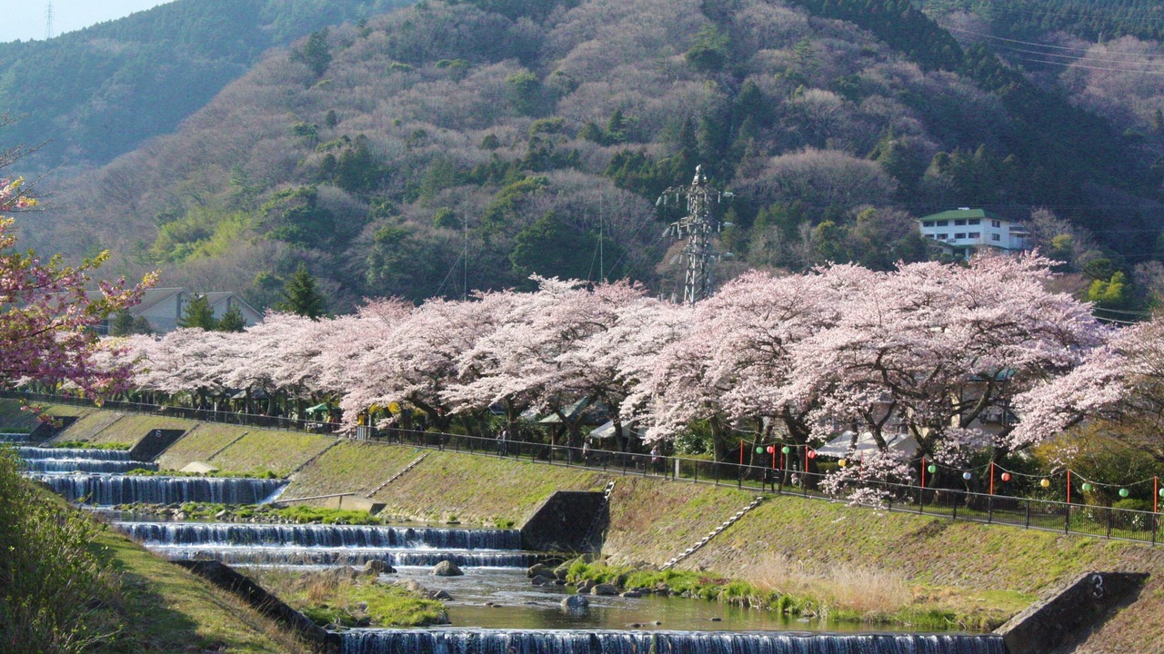 Photo of Outdoor in Hakone