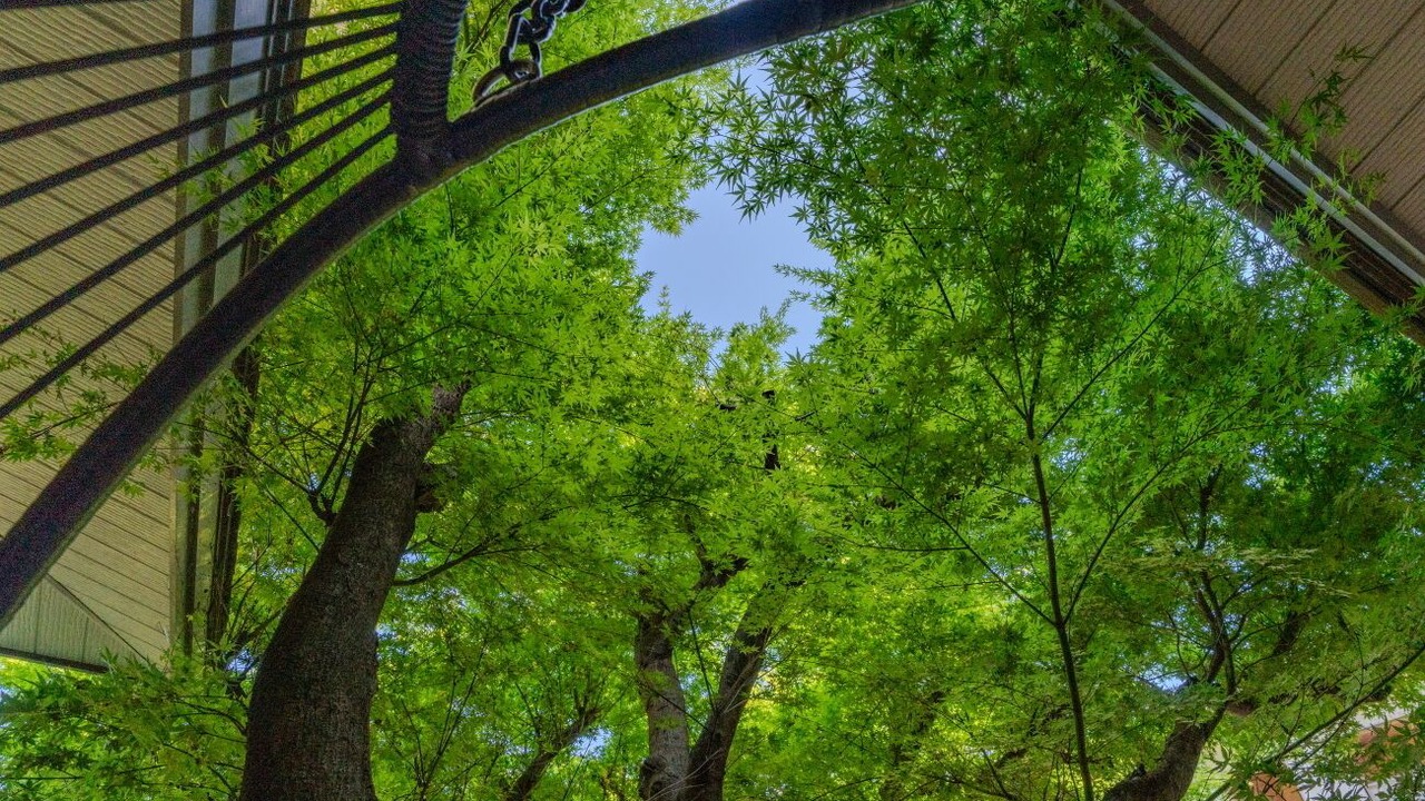 Photo of Patio Balcony in Higashiizu