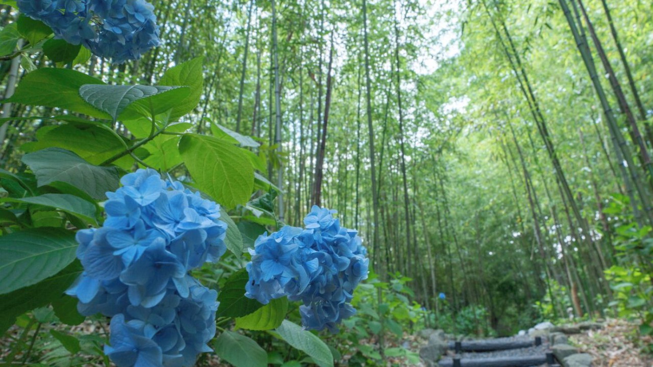 Photo of Outdoor in Higashiizu