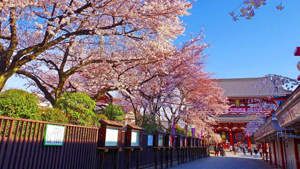 Photo of Others in Higashinippori
