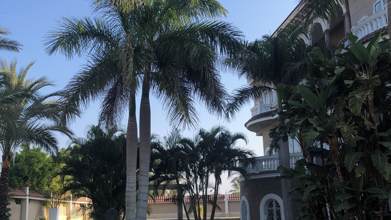 Photo of Outdoor in Mobarak City