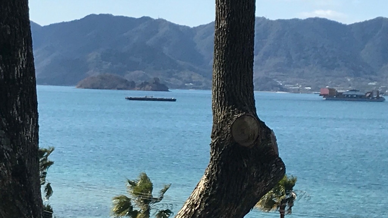 Photo of Others in Ochi-gun
