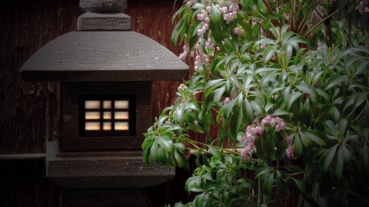 Photo of Outdoor in Shimogyo