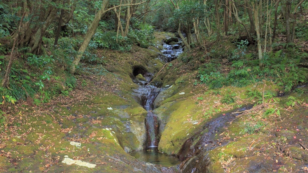 Photo of Others in Hachijo