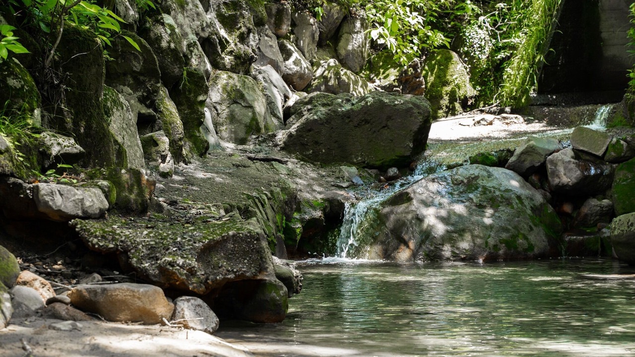 Photo of Others in Hakone