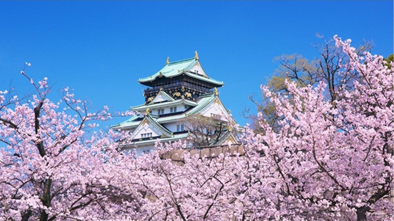 Photo of Outdoor in Nishitenma