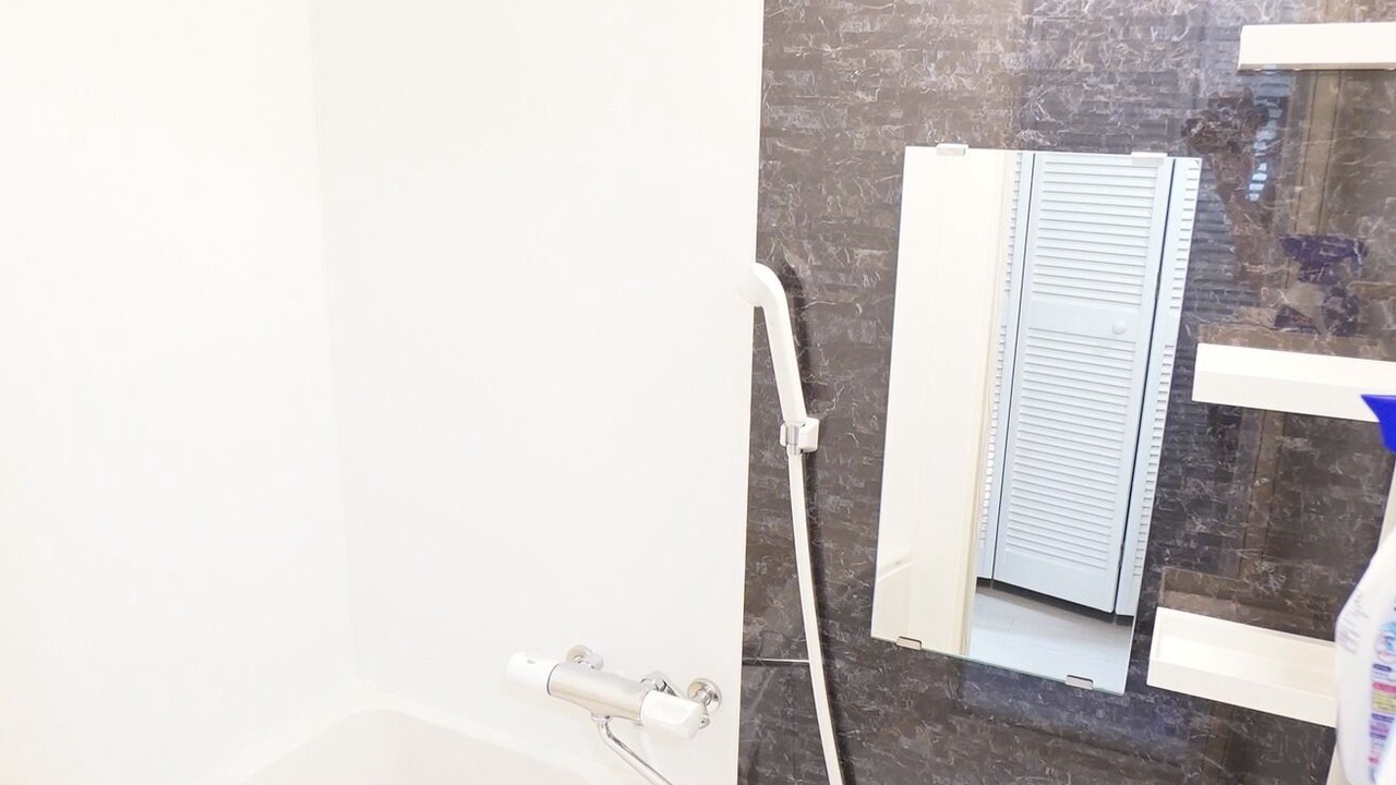 Photo of Bathroom in Toyohira
