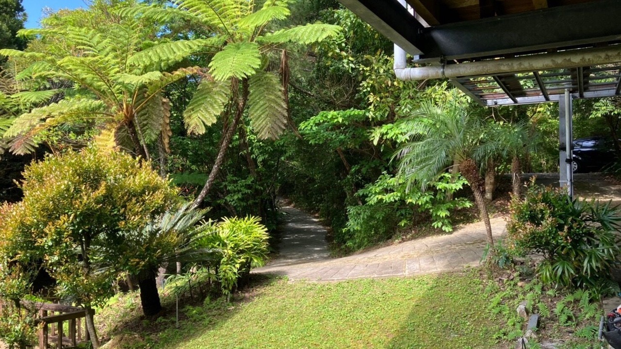 Photo of Outdoor in Kunigami