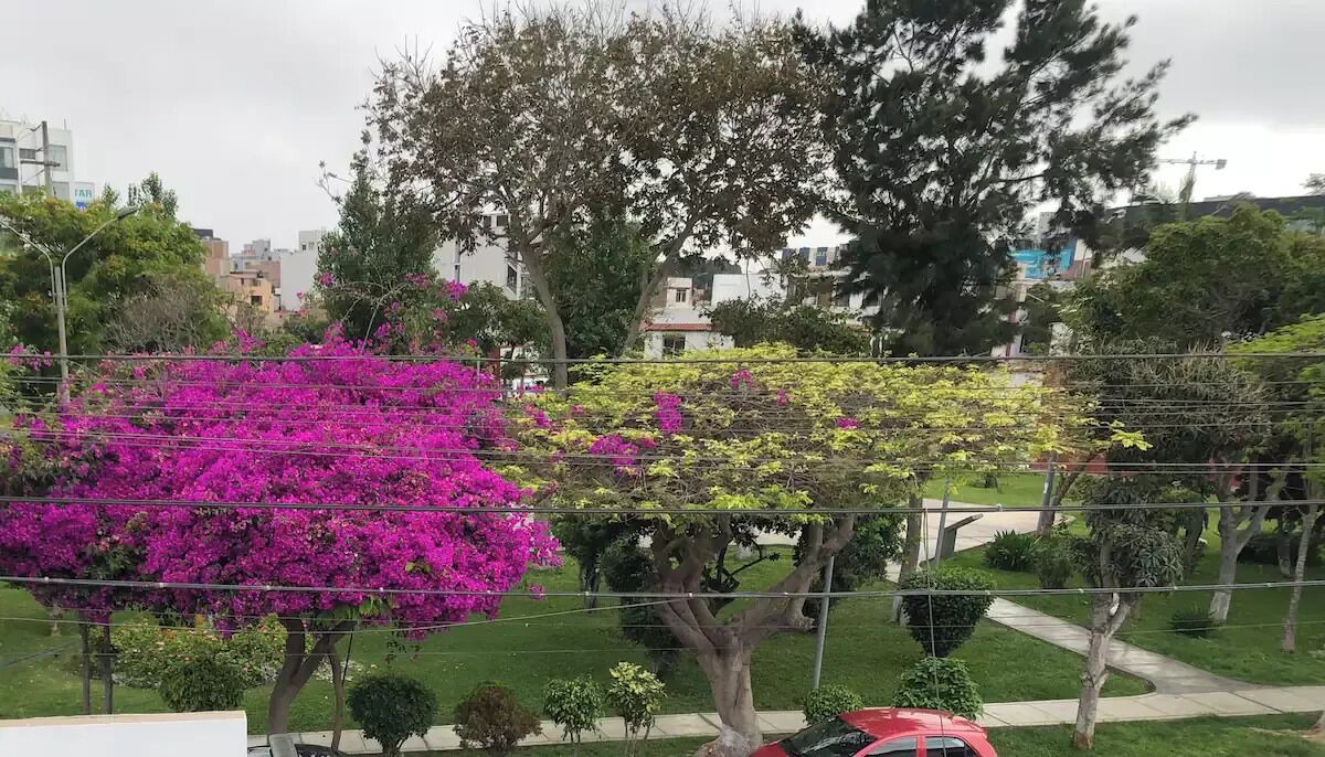 Photo of Outdoor in San Miguel
