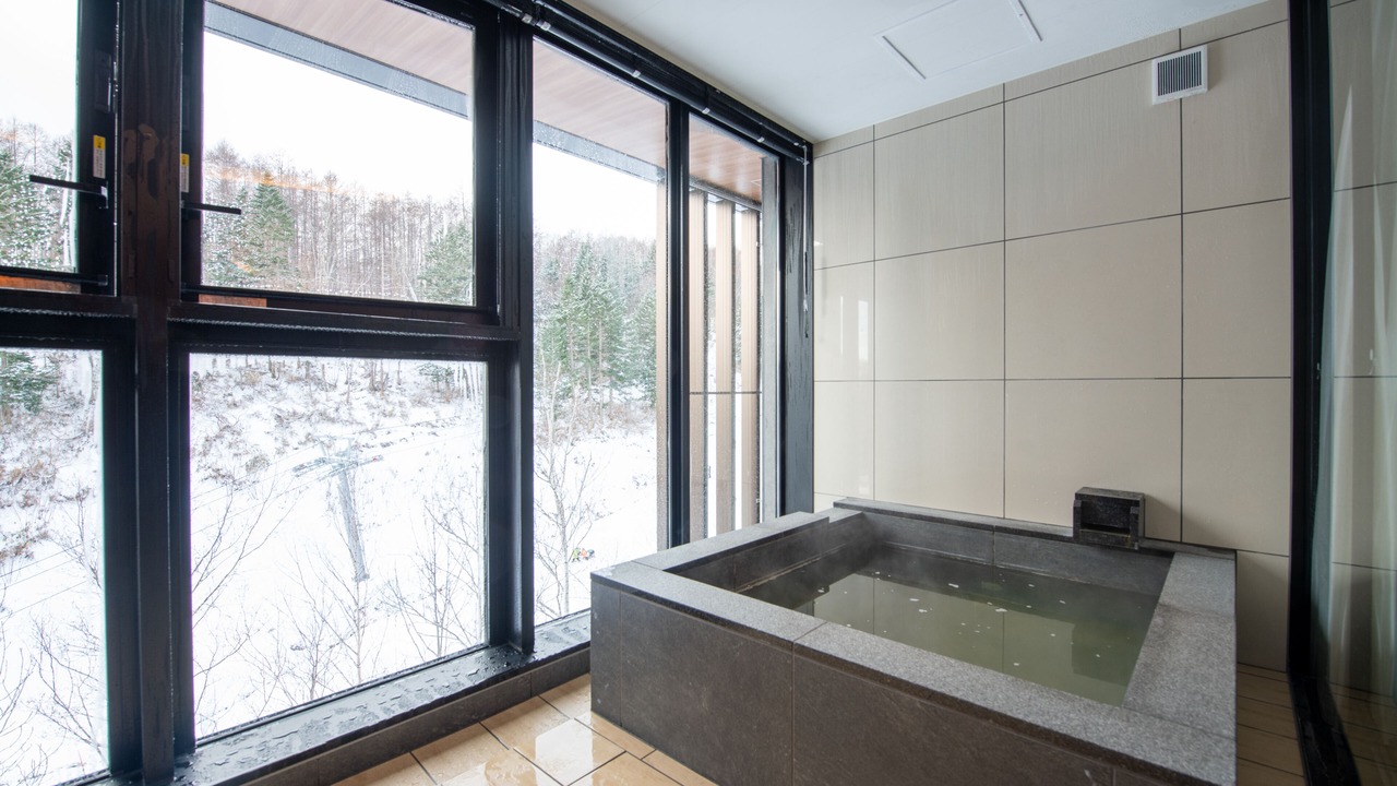 Photo of Bathroom in Hirafu