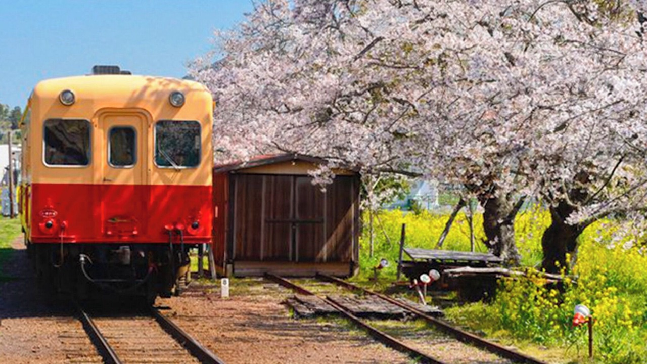 Photo of Others in Ichihara