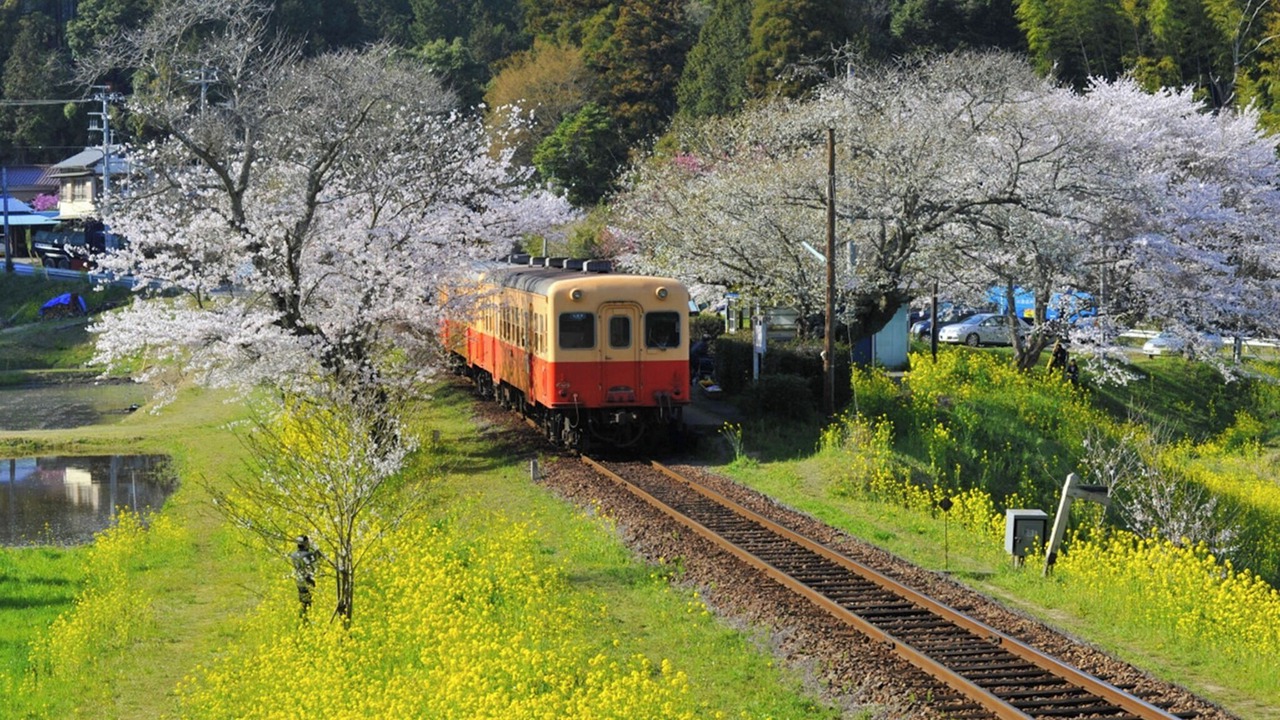 Photo of Others in Ichihara