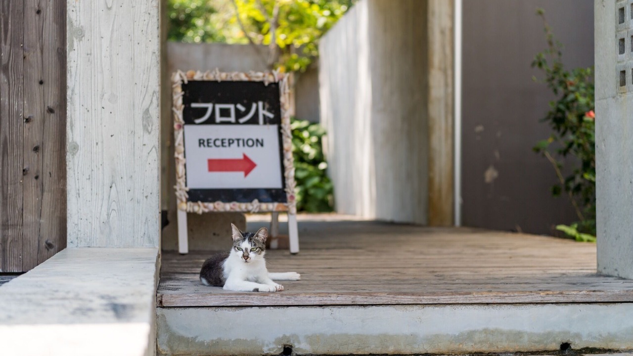 Photo of Others in Motobu