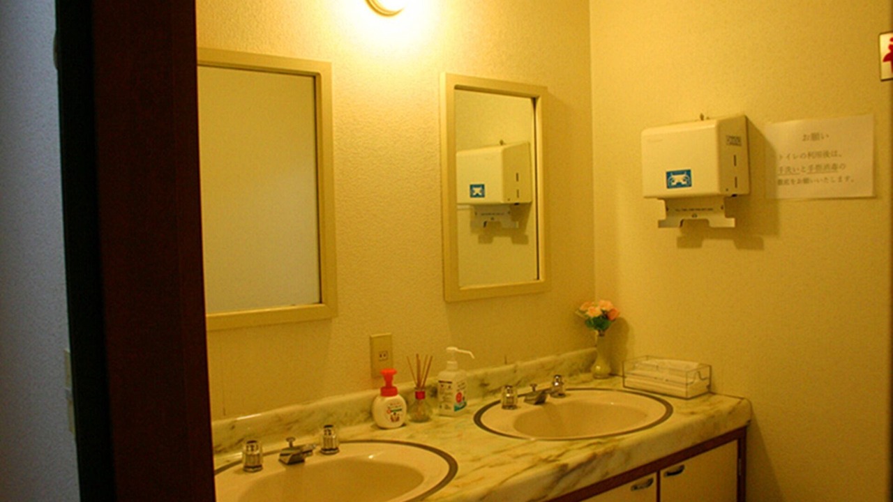 Photo of Bathroom in Yamanakako