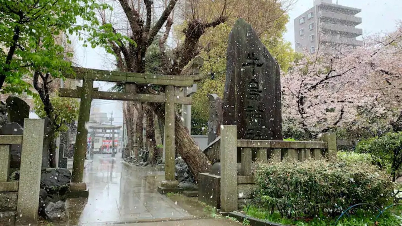 Photo of Others in Sumida
