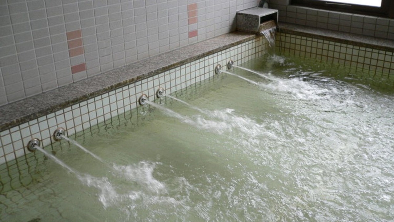 Photo of Others in Hanamigawa